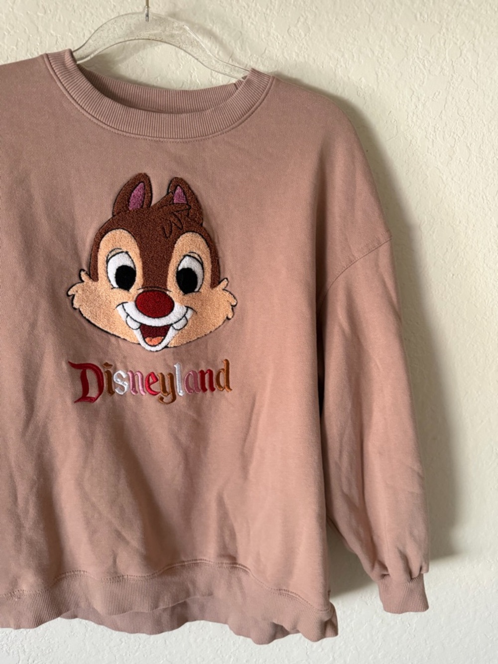 Disneyland Chip ‘n Dale Embroidered Oversized Sweatshirt size XS - Picture 11 of 12